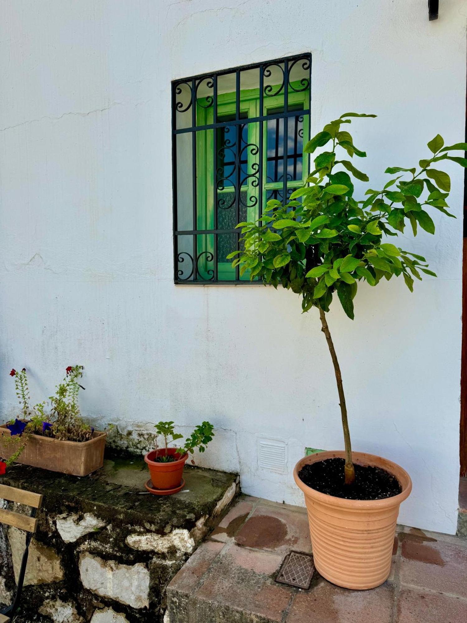 Casa Leon Villa Montejaque Exterior photo
